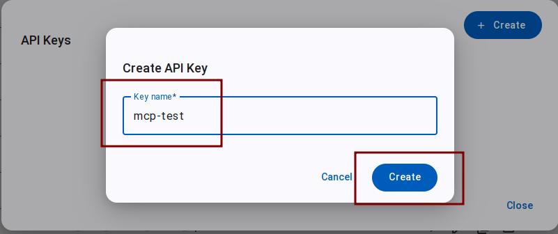 Enter API Key name
