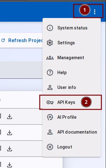 API Key menu option