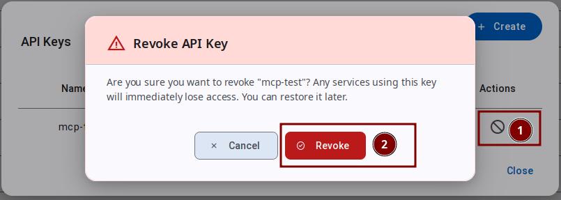 Revoke API Key