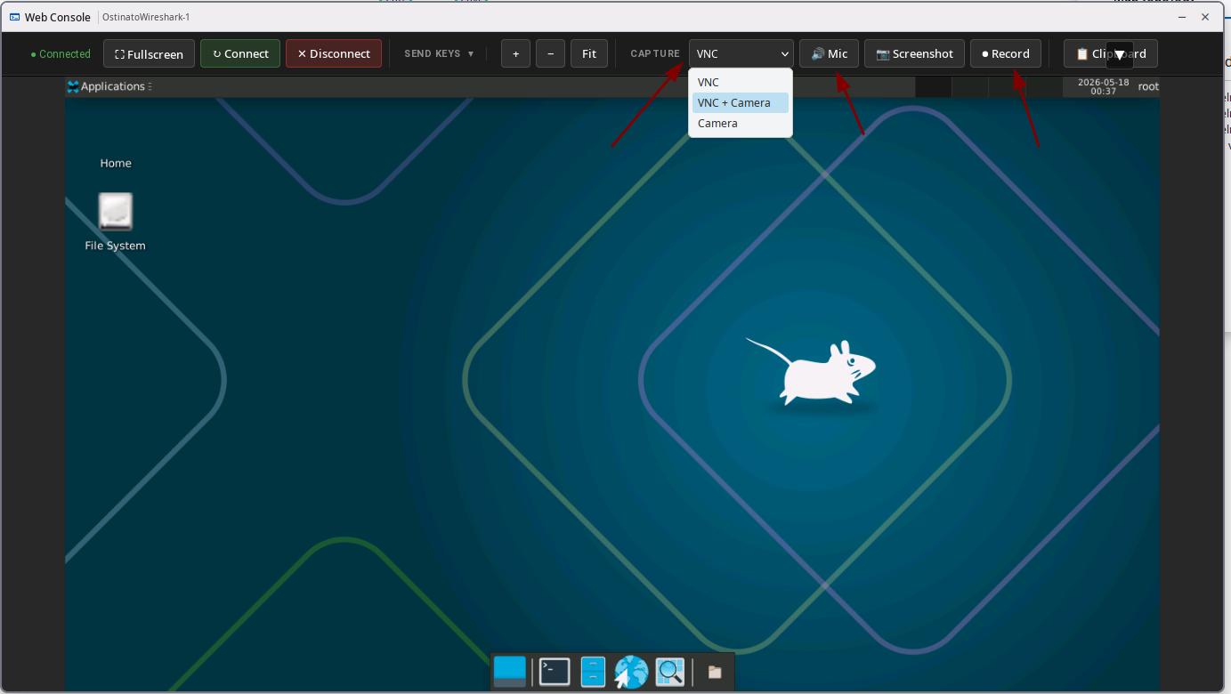 VNC Recording Modes