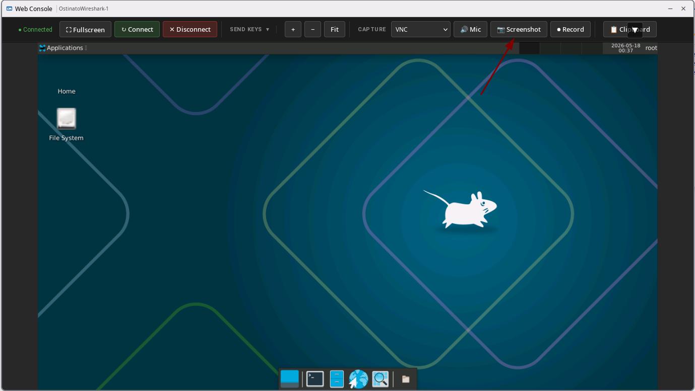 VNC Screenshot